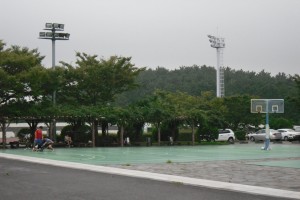 picture of bean tree shade area with floodlight in background
