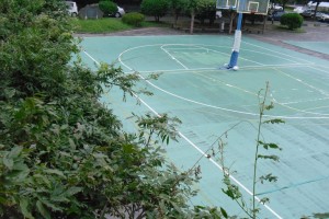picture from top of bean area clearly demonstrating height