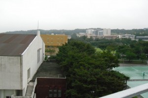 picture of jeju/next ladder from top of floodlight