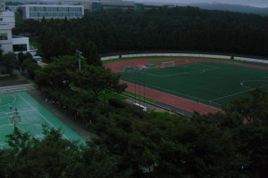 picture of jeju from rooftop